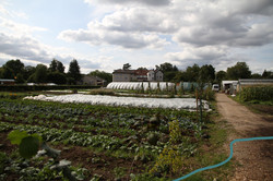 Eine Landschaft - documenta fifteen