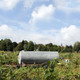 Eine Landschaft - documenta fifteen
