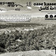 Oase Kassel - documenta fifteen