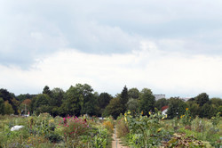 Eine Landschaft - documenta fifteen