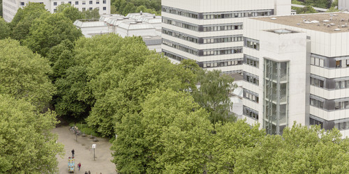 BCI: Rechts im Bild befinden sich zwei hohe graue Gebäude mit vielen Fenstern der Fakultät Bio- und Chemieingenieurwesen. Davor und weiter links im Bild Bäume.