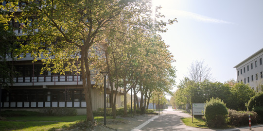 Ein asphaltierter Weg führt zu einem Gebäude der TU Dortmund umgeben von blühenden Bäumen im Sommer.