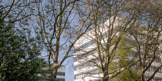 Ein Gebäude der TU Dortmund ist umgeben von blühenden Bäumen im Sommer.
