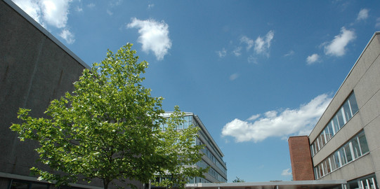 Rektorat und Experimentierhalle: Rechts im Bild das Rektorat, ein graues Gebäude mit Fensterfronten, in der Mitte eine Treppe und links eine graue Gebäudefront mit einem Baum davor. Im Hintergrund links ein weiteres hohes Gebäude.